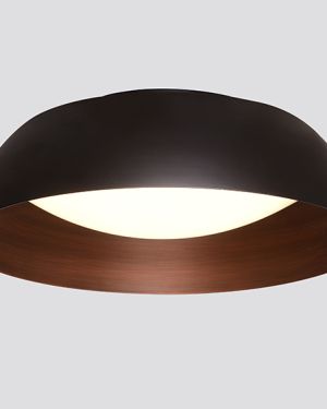 Aplique de Techo – Kohen Iluminacion