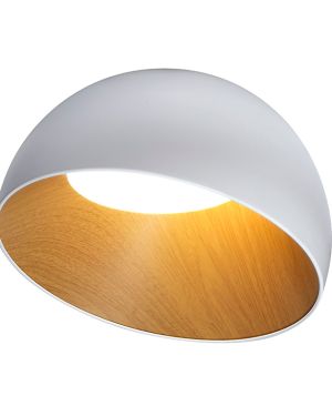 Aplique de Techo – Kohen Iluminacion