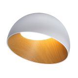 ASPE-10