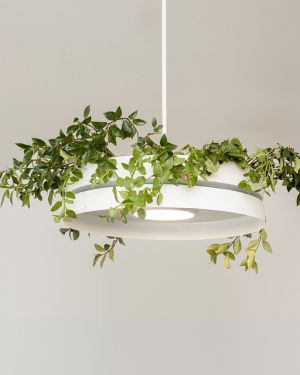 Colgante – Kohen Iluminacion