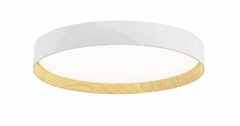 Aplique de Techo - Kohen Iluminacion