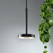 Colgante Invisible S · Kohen Iluminación