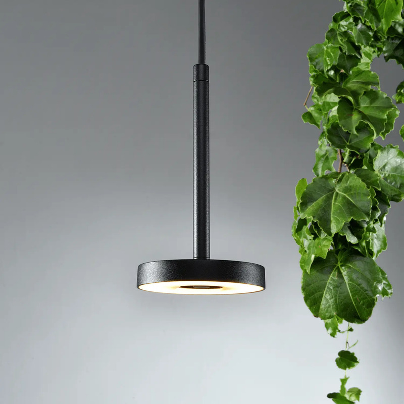 Colgante Invisible S · Kohen Iluminación